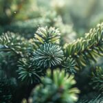 Time-Saving Traditions: How Artificial Christmas Trees Simplify Holiday Prep