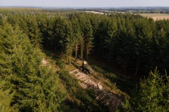 Profitability and Payload: The Financial Logic Behind Purpose-Built Forestry Trailers