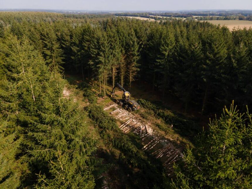 Profitability and Payload: The Financial Logic Behind Purpose-Built Forestry Trailers