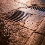 How to Tell If Your Home Has Drainage Problems