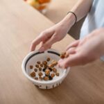 When Should You Switch to Soft Chews for Your Dog’s Wellness Routine?
