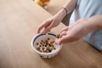 When Should You Switch to Soft Chews for Your Dog’s Wellness Routine?