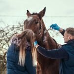 6 Vital Signs Your Equine Needs Horse Wormer