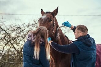 6 Vital Signs Your Equine Needs Horse Wormer