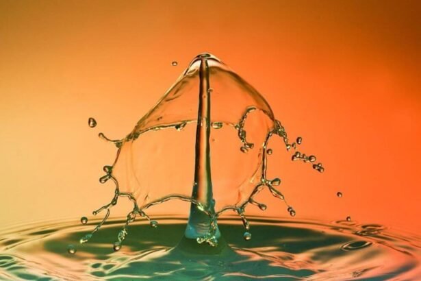 Growth-Stage Water and Sanitation Businesses: The Operational Building Blocks