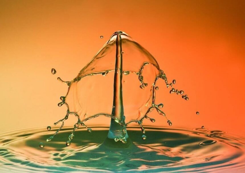 Growth-Stage Water and Sanitation Businesses: The Operational Building Blocks